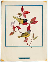 vintage and antique bird prints